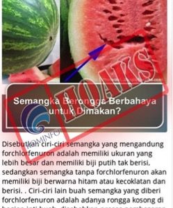 [DISINFORMASI/HOAKS] Semangka Berongga Berbahaya Untuk Dimakan Karena Mengandung Forchlorfenuron